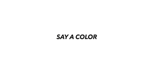 Speak Colors demo