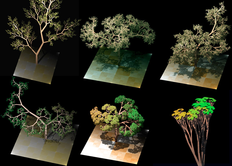 Trees generated by a 3D L-System