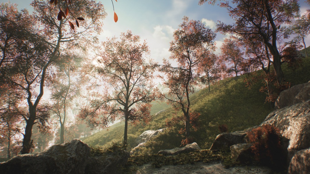 Trees generated by SpeedTree, a commercial game development tool