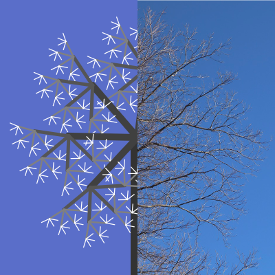 A comparison of our virtual tree with a physical tree